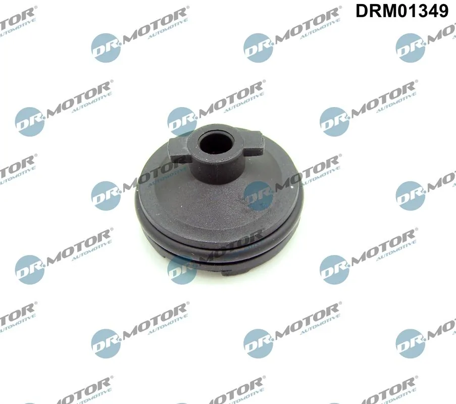 Screw Plug, oil sump DRM01349