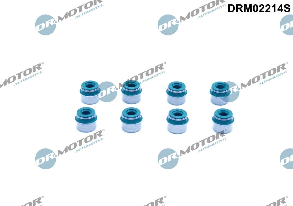Seal Ring, valve stem DRM02214S