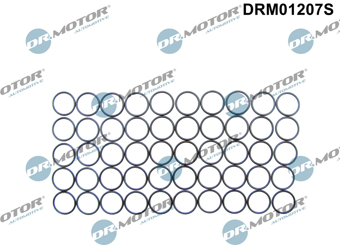 Seal Ring, injector DRM01207S