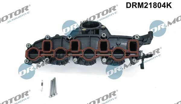 Intake Manifold Module DRM21804K