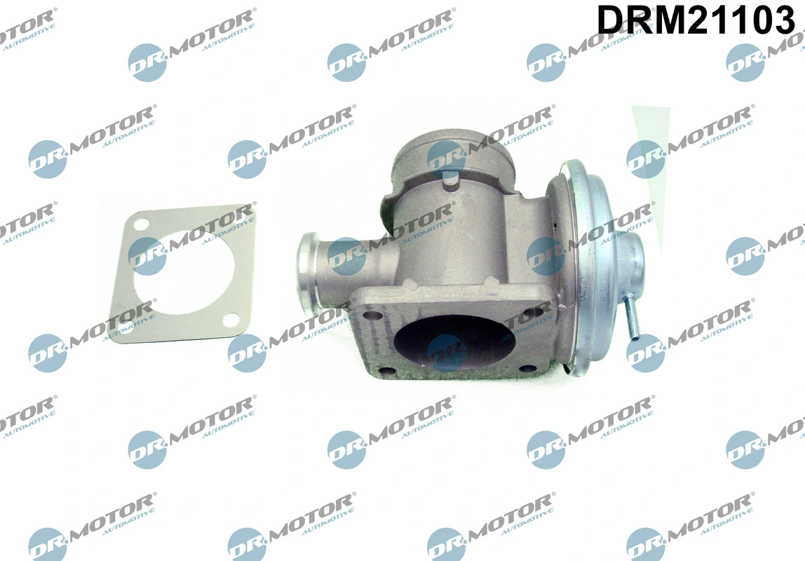 EGR Valve DRM21103