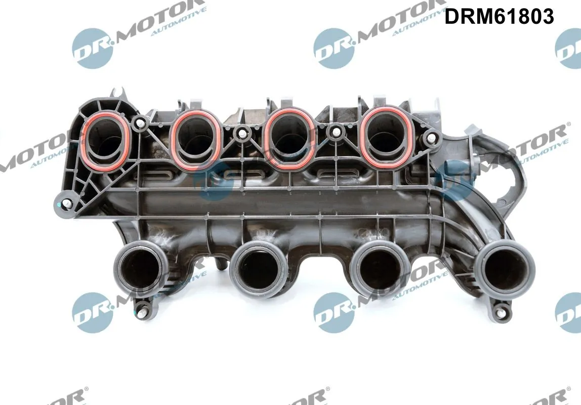 Intake Manifold Module DRM61803