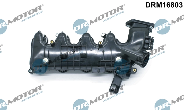 Intake Manifold Module DRM16803