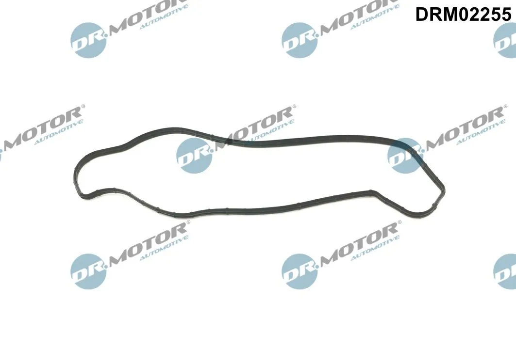 Gasket, coolant flange DRM02255