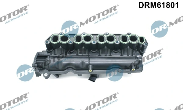 Intake Manifold Module DRM61801