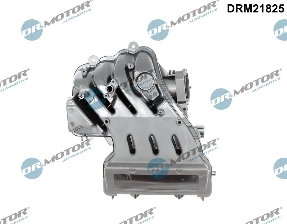 Intake Manifold Module DRM21825