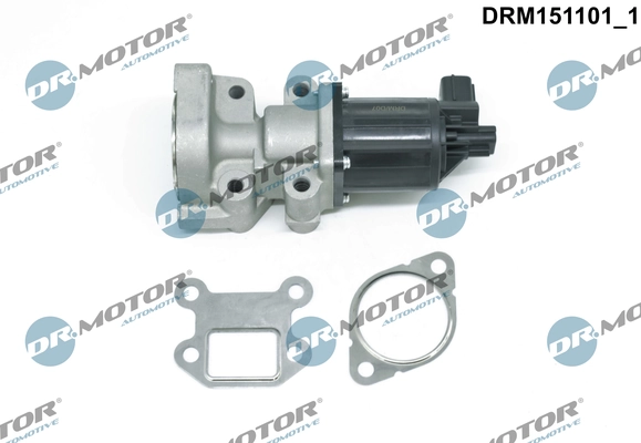 EGR Valve DRM151101