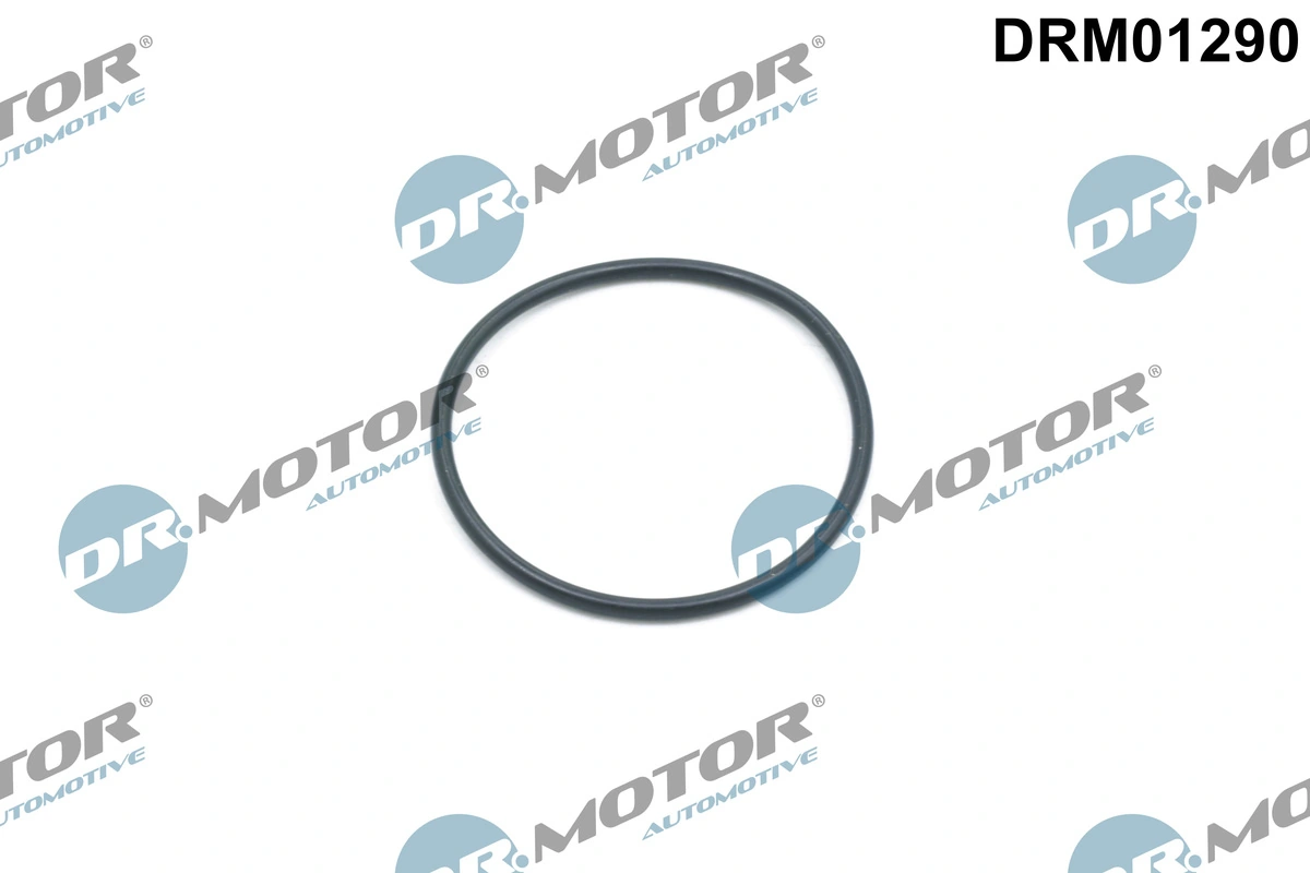 Seal Ring, timing chain tensioner DRM01290
