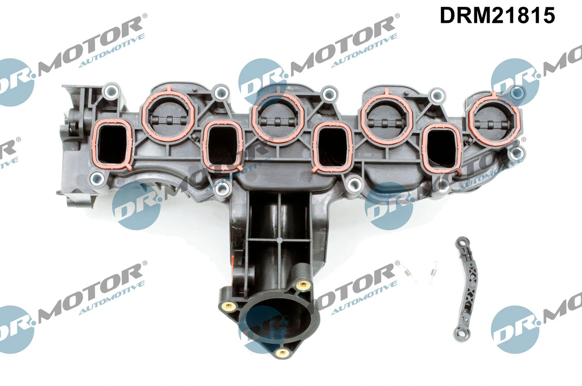 Intake Manifold Module DRM21815