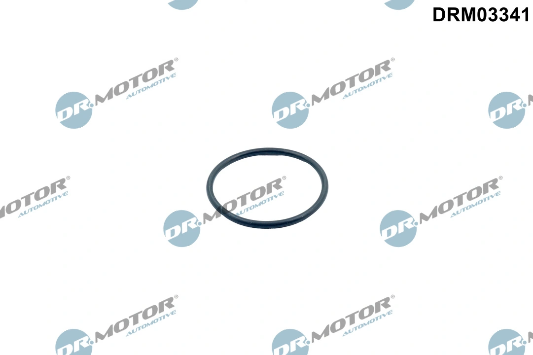 Seal, thermostat DRM03341