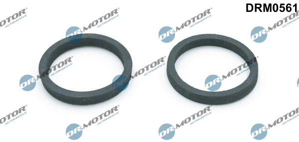 Gasket, oil cooler DRM0561