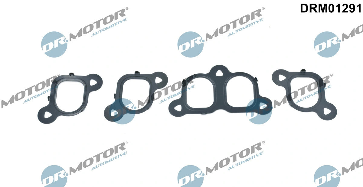 Gasket Set, intake manifold DRM01291
