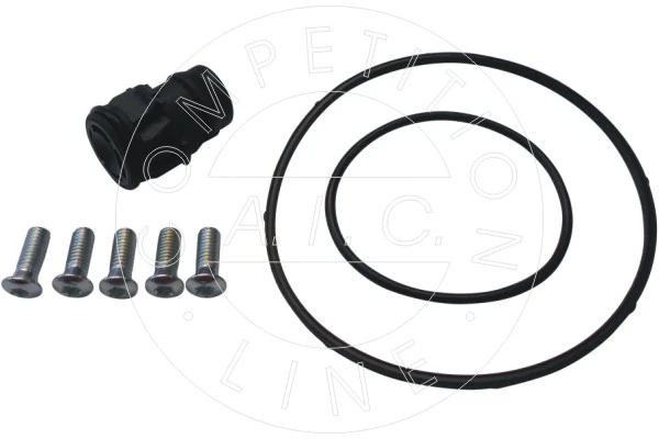 Repair Set, vacuum pump (braking system) Original AIC Quality 56249