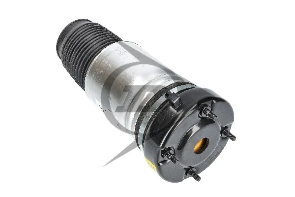 Air Spring, suspension Dunlop Original spare part 71043