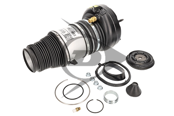 Air Spring, suspension Dunlop Original spare part 71060