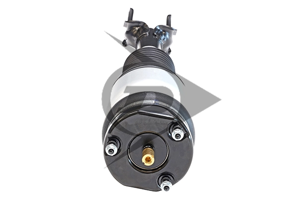 Air Suspension Strut Dunlop Original spare part 71119