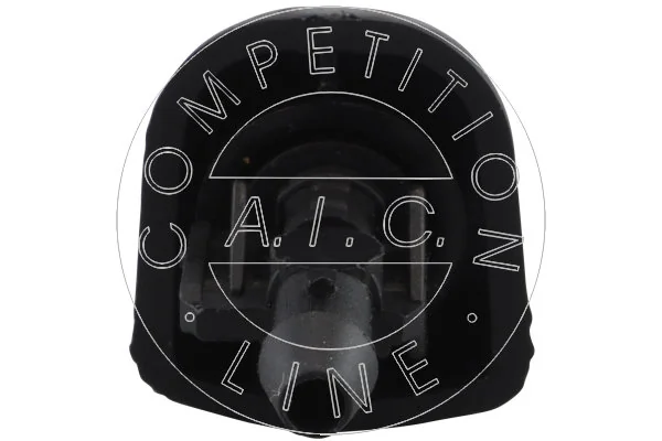 Washer Fluid Jet, window cleaning Original AIC Quality 57940