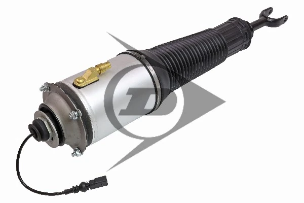 Air Suspension Strut Dunlop Original spare part 71054