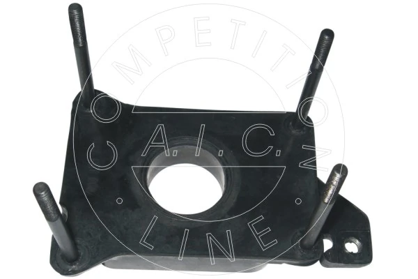 Flange, central injection Original AIC Quality 51795