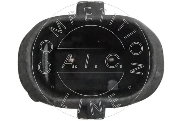 Control Valve, camshaft adjustment Original AIC Quality 57639