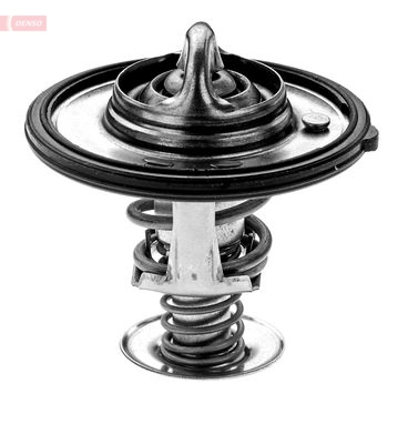 Thermostat, coolant DTM82532