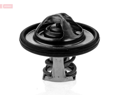 Thermostat, coolant DTM82531