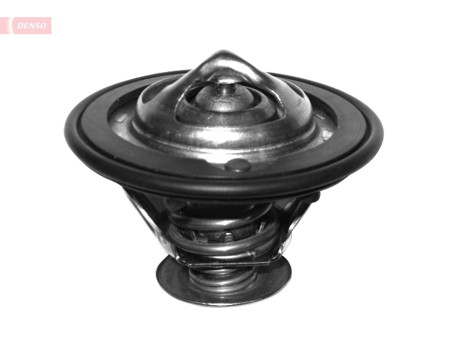 Thermostat, coolant DTM77614