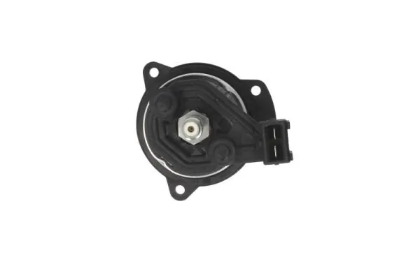 Fuel Pump ENT100105