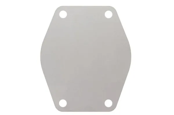 Gasket, water pump ENT010698