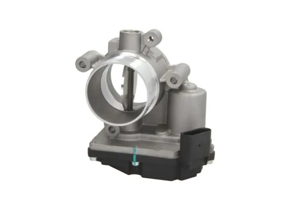 Throttle Body ENT310016