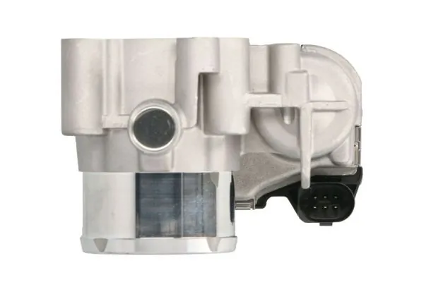 Throttle Body ENT310054