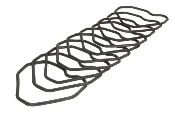 Gasket, cylinder head cover ENT020273