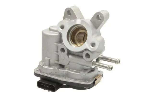 EGR Valve ENT500020