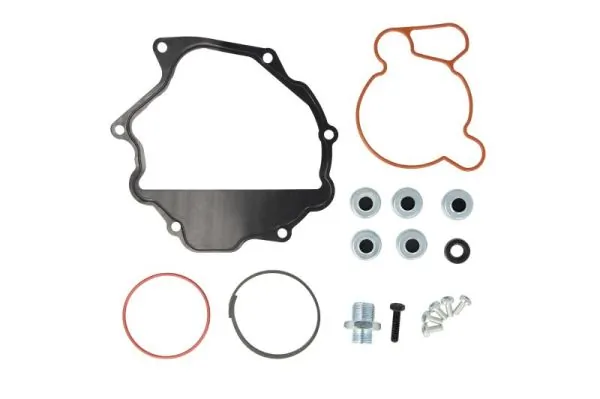 Repair Set, vacuum pump (braking system) ENT410008