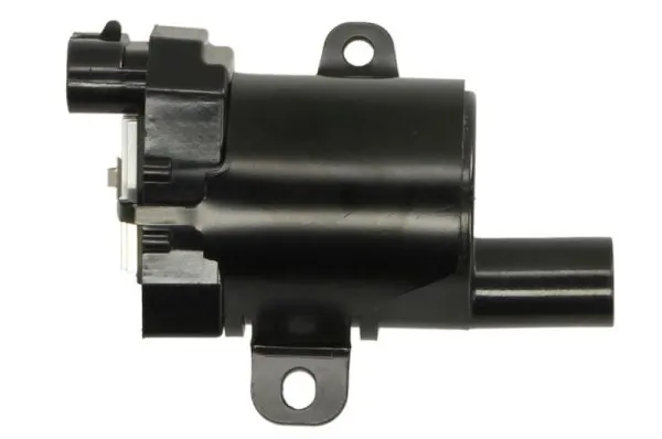 Ignition Coil ENT960078