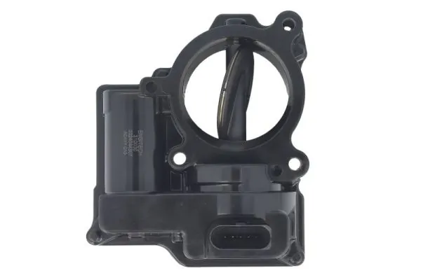 Throttle Body ENT310030