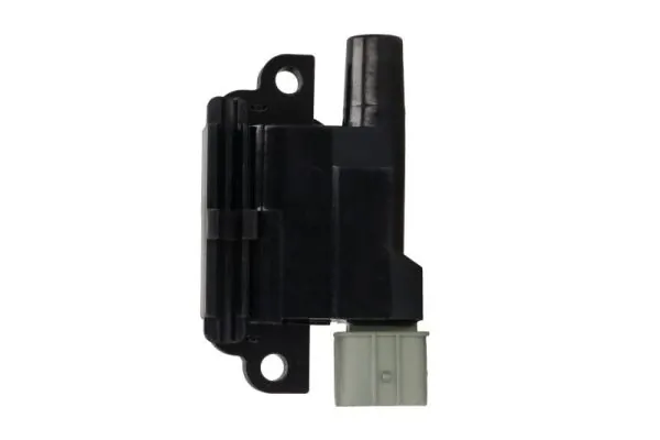 Ignition Coil ENT960043