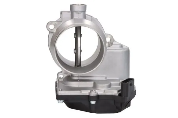 Throttle Body ENT310051