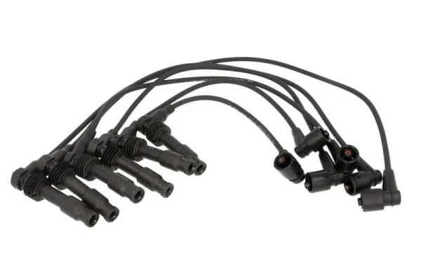 Ignition Cable Kit ENT910209