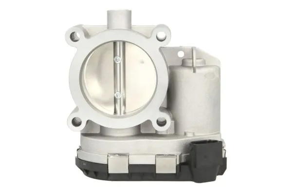 Throttle Body ENT310031
