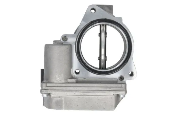 Throttle Body ENT310015