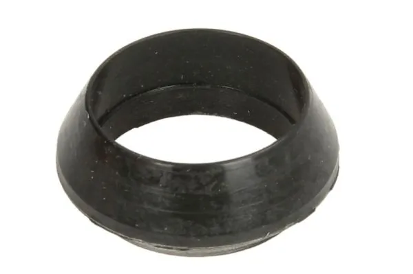 Seal Ring, injector ENT250417