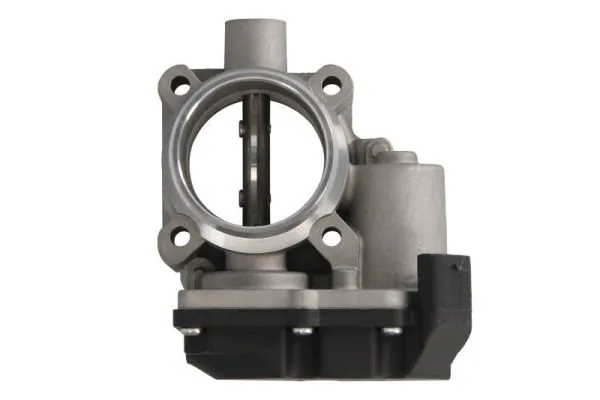 Throttle Body ENT310049