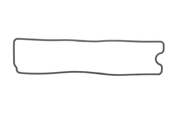 Gasket, cylinder head cover ENT010426