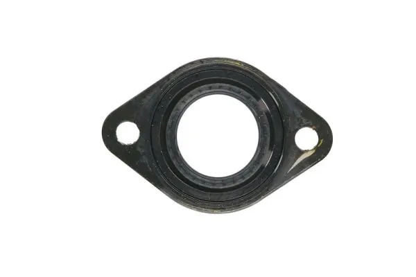 Seal Ring, injector ENT250389