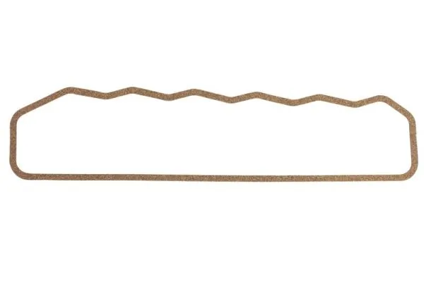 Gasket, cylinder head cover ENT010360