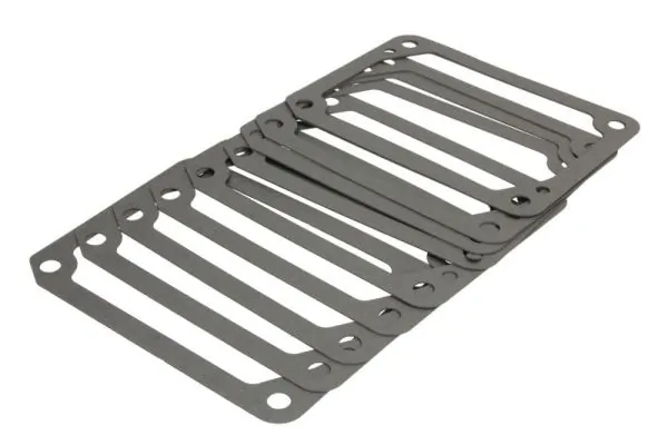 Shaft Seal, manual transmission flange ENT030031