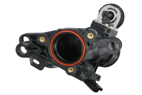 Throttle Body ENT310058