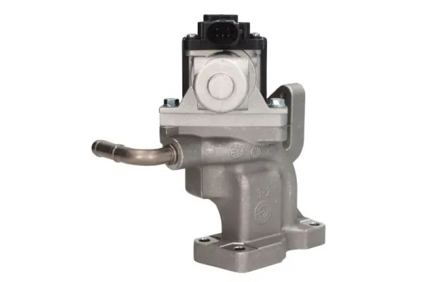 EGR Valve ENT500170