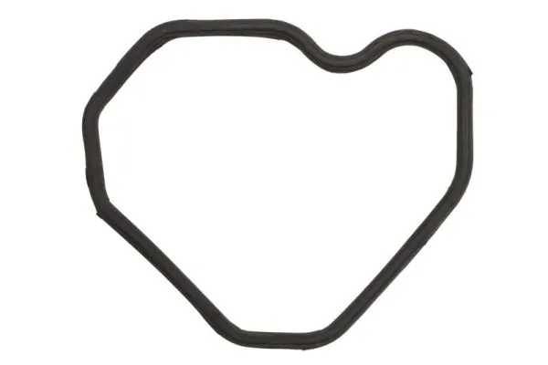 Gasket, cylinder head cover ENT020273